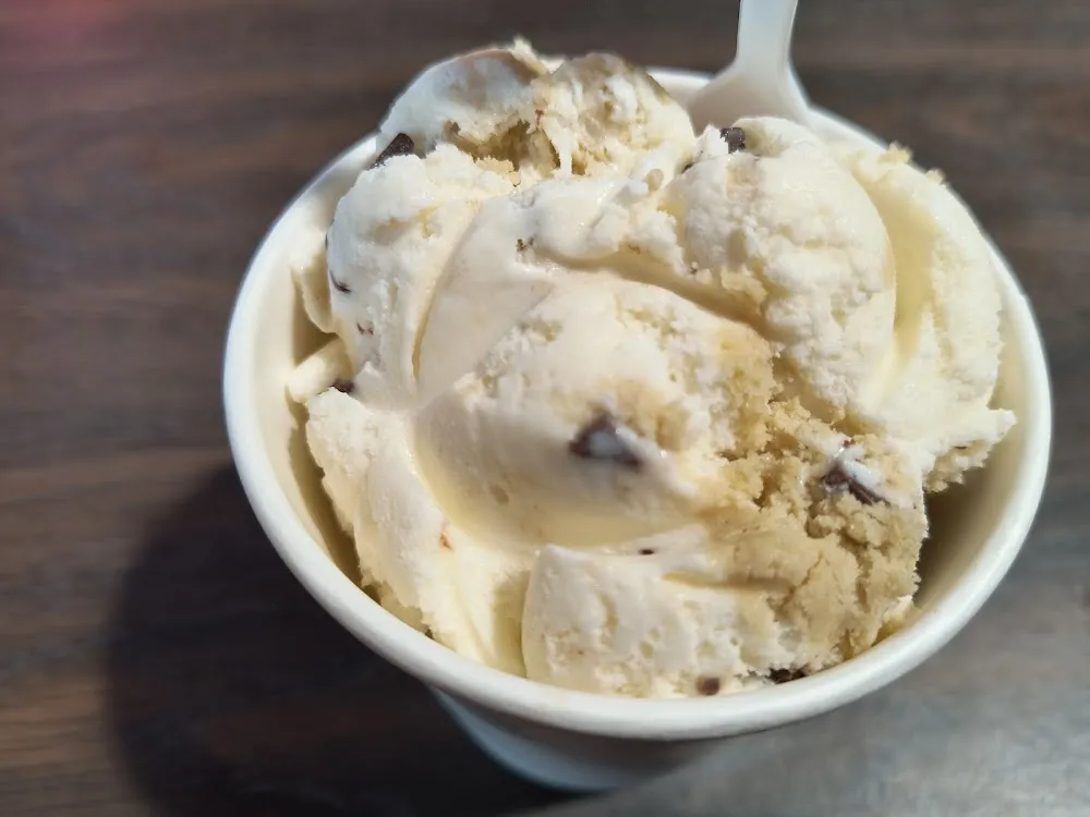 Chocolate Chip Cookie Dough Ice Cream