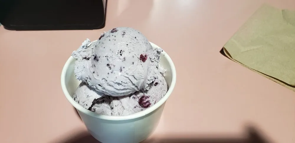 Small Blueberry Ice Cream